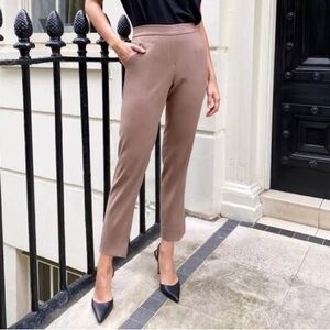 Aritzia Babaton Conan Pants in Shadow Mauve